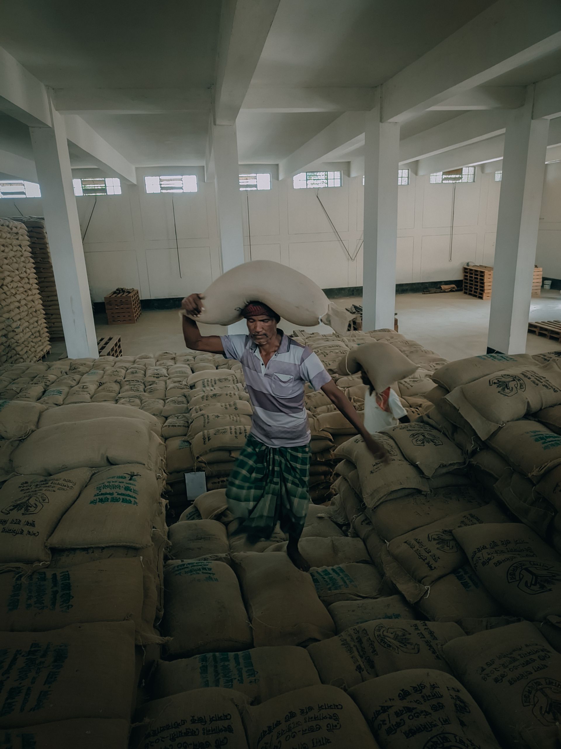Agriculture Grain Sacks — PP Thread by Carrypack Industries
